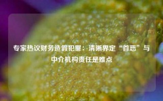 专家热议财务造假犯罪：清晰界定“首恶”与中介机构责任是难点