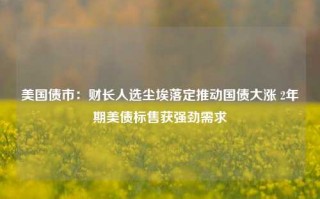 美国债市：财长人选尘埃落定推动国债大涨 2年期美债标售获强劲需求