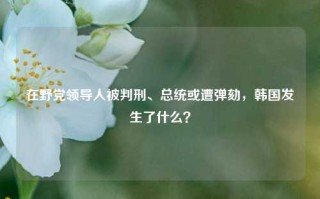 在野党领导人被判刑、总统或遭弹劾，韩国发生了什么？