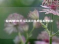 解放阁网红照片高清大图,解放阁老照片