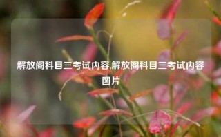 解放阁科目三考试内容,解放阁科目三考试内容图片