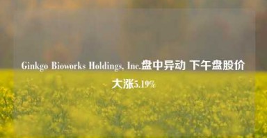 Ginkgo Bioworks Holdings, Inc.盘中异动 下午盘股价大涨5.19%