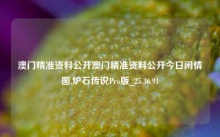 澳门精准资料公开澳门精准资料公开今日闲情图,炉石传说Pro版_25.36.91