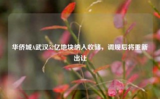 华侨城A武汉52亿地块纳入收储，调规后将重新出让