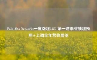 Palo Alto Networks一度涨超2.8% 第一财季业绩超预期+上调全年营收展望