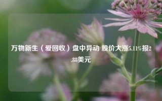 万物新生（爱回收）盘中异动 股价大涨5.11%报2.88美元