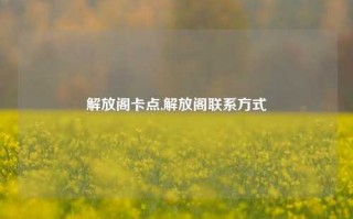 解放阁卡点,解放阁联系方式