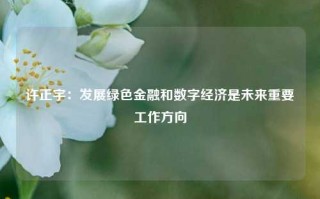 许正宇：发展绿色金融和数字经济是未来重要工作方向