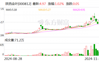 陕西金叶：刘忠辞去公司第八届监事会职工监事职务