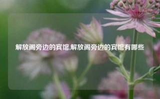 解放阁旁边的宾馆,解放阁旁边的宾馆有哪些