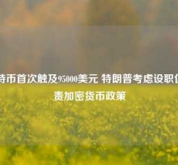 比特币首次触及95000美元 特朗普考虑设职位负责加密货币政策