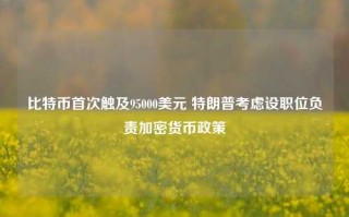 比特币首次触及95000美元 特朗普考虑设职位负责加密货币政策