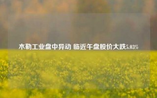 木勒工业盘中异动 临近午盘股价大跌5.03%