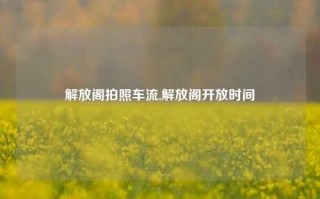 解放阁拍照车流,解放阁开放时间