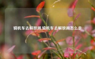 骑机车去解放阁,骑机车去解放阁怎么走