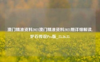 澳门精准资料2021澳门精准资料2021期详细解读,炉石传说Pro版_25.36.25