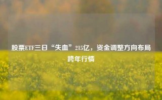 股票ETF三日“失血”215亿，资金调整方向布局跨年行情