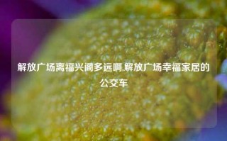 解放广场离福兴阁多远啊,解放广场幸福家居的公交车