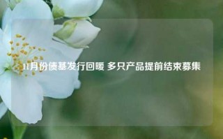 11月份债基发行回暖 多只产品提前结束募集