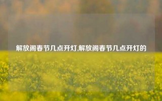 解放阁春节几点开灯,解放阁春节几点开灯的