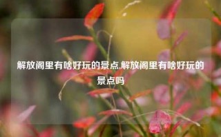 解放阁里有啥好玩的景点,解放阁里有啥好玩的景点吗