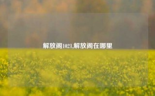 解放阁1021,解放阁在哪里