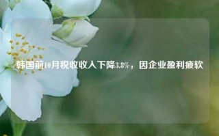 韩国前10月税收收入下降3.8%，因企业盈利疲软