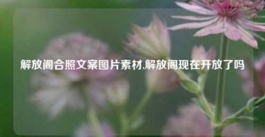 解放阁合照文案图片素材,解放阁现在开放了吗