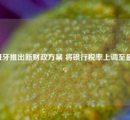 西班牙推出新财政方案 将银行税率上调至最高7%