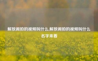 解放阁拍的视频叫什么,解放阁拍的视频叫什么名字来着