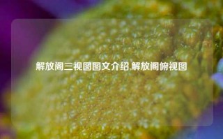 解放阁三视图图文介绍,解放阁俯视图