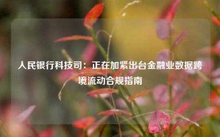 人民银行科技司：正在加紧出台金融业数据跨境流动合规指南