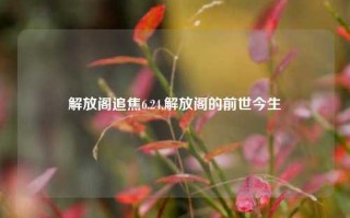 解放阁追焦6.24,解放阁的前世今生