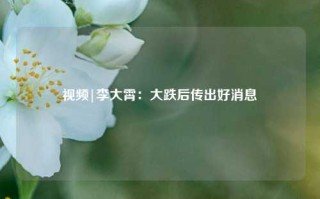 视频|李大霄：大跌后传出好消息