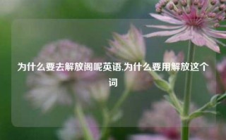 为什么要去解放阁呢英语,为什么要用解放这个词