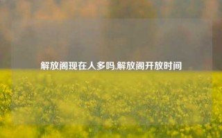 解放阁现在人多吗,解放阁开放时间