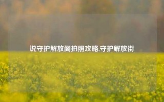 说守护解放阁拍照攻略,守护解放街