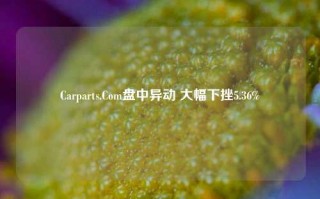 Carparts.Com盘中异动 大幅下挫5.36%