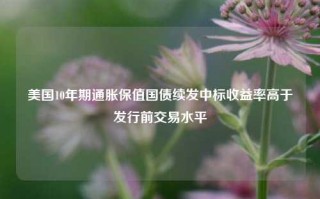 美国10年期通胀保值国债续发中标收益率高于发行前交易水平