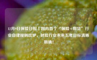 12月9日保险日报丨国内首个“保险+期货”行业自律规则出炉，财险行业未来五年目标清晰明确！