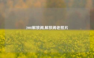 2008解放阁,解放阁老照片