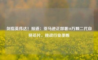 剑指英伟达！报道：亚马逊正部署10万颗二代自研芯片，挑战行业垄断