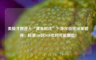 美股才刚进入“黄金时代”？华尔街资深策略师：标普500到2030年时可能翻倍！