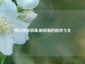 网红照解放阁,解放阁的前世今生