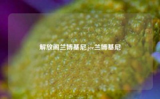 解放阁兰博基尼,jec兰博基尼