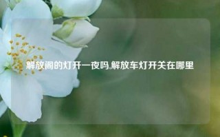 解放阁的灯开一夜吗,解放车灯开关在哪里