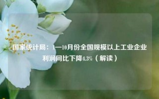 国家统计局：1—10月份全国规模以上工业企业利润同比下降4.3%（解读）