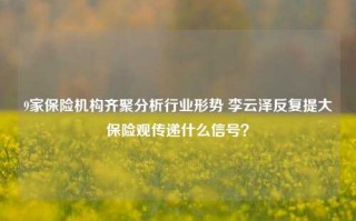 9家保险机构齐聚分析行业形势 李云泽反复提大保险观传递什么信号？