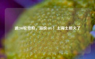 逾200轮竞拍，溢价40%！上海土拍火了