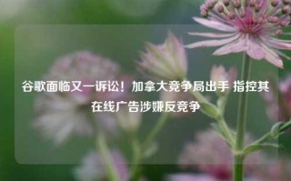 谷歌面临又一诉讼！加拿大竞争局出手 指控其在线广告涉嫌反竞争